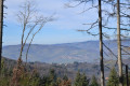 Vue