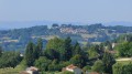 Vue