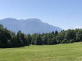 Vue