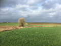 Autour de Jamagne, du Pachis des Poulains au Ry des Gattes