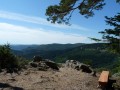 vue