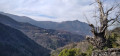 Vue