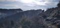 Vue