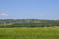 Vue