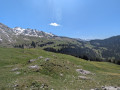 vue