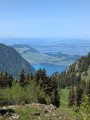 vue