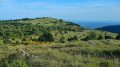Vue avant le retour au parking