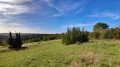 Wacholderheiden