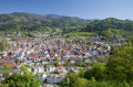 Waldkirch von oben