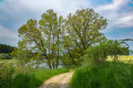 Waldnaabaue bei Hochwasser