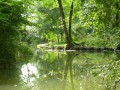 Walk along the river Né