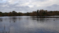 Bury Wood and Connaught Water from Chingford Plain