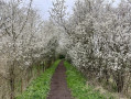 Walking down the footpath.