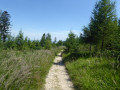 Walking the Zelene Pleso trail