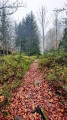 Wanderweg 2