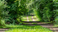 Wanderweg am Waldrand