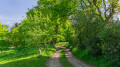 Wanderweg an der Schlei