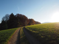 Wanderweg oberhalb von Niedersorpe