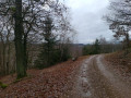 Wanderweg