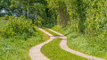 Wanderweg vor Fleckeby