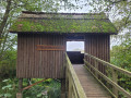 Müritz-Nationalpark: Teufelsbruch und Warnker See