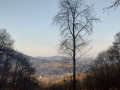 Naturparkrundweg 16 - Zum Wasgaublick