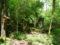 Wasserfall