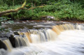 Waterfall in Lynn Glen