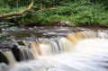 Lynn Glen Circular, Dalry Lynn Glen Circular, Dalry