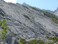 Waterworn Limestone Slabs