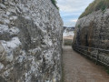 Way up to the clifftop