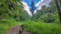 Weg hinter dem Schloss