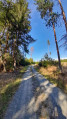 Weg zum Altvaterturm