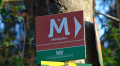 Wegweiser