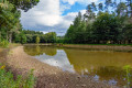 Weiher am Wallersbach