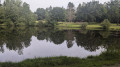 Weiher am Wegesrand