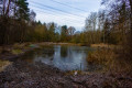 Weiher im Winter