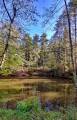 Weiher mit Picknickareal