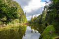 Weiher