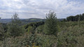 Through the forest between Herdorf, Biersdorf and Niederdreisbach Durch den Wald zwischen Herdorf, Biersdorf und Niederdreisbach