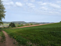 Weiter Blick