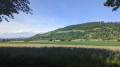 Weiter Blick vom Waldrand aus