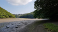 West Looe River at low tide