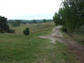 Westruper Heide, Haard bei Haltern am See