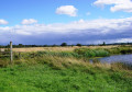 Wetlands