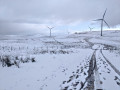 Whitelee Winfarm in the Snow