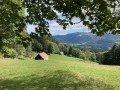 Gaschney par le Col de Sattel au départ de Munster