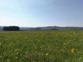 Wiesen und Felder