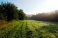 Limbacher Runde 10 - Kreuzblick Kappanöll