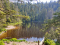 Boucle de Seibelseckle par Hinterer Langenbach et Wildsee